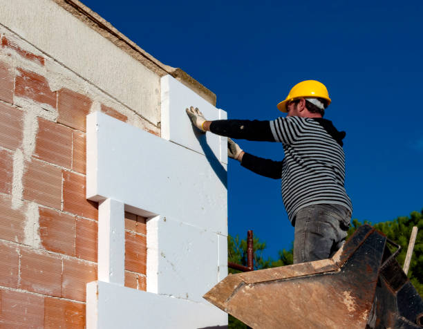 Best Cellulose Insulation  in Willard, MO