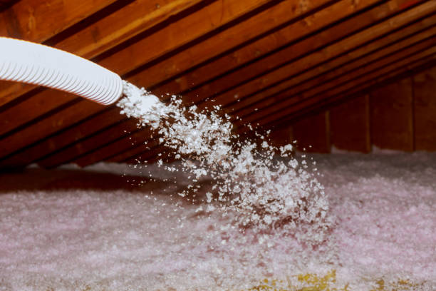 Best Spray Foam Insulation  in Willard, MO
