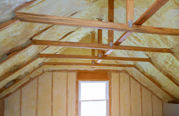 Best Best Insulation Companies  in Willard, MO
