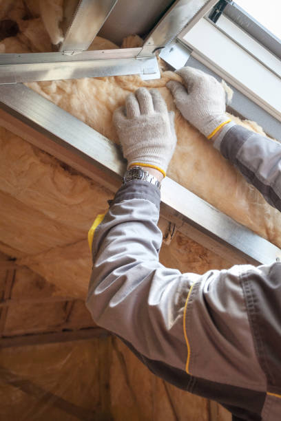 Best Insulation Removal  in Willard, MO