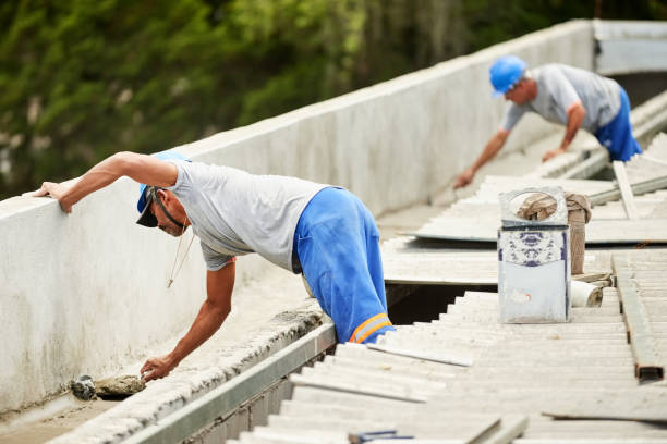 Best Home Insulation Services  in Willard, MO