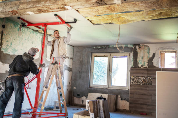 Best Wall Insulation Contractor  in Willard, MO