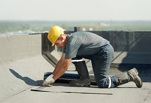 Best Attic Insulation Installation  in Willard, MO