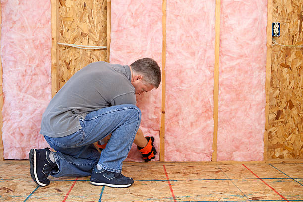 Best Insulation Removal  in Willard, MO