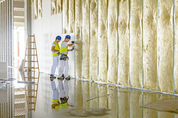 Best Garage Insulation Installation  in Willard, MO